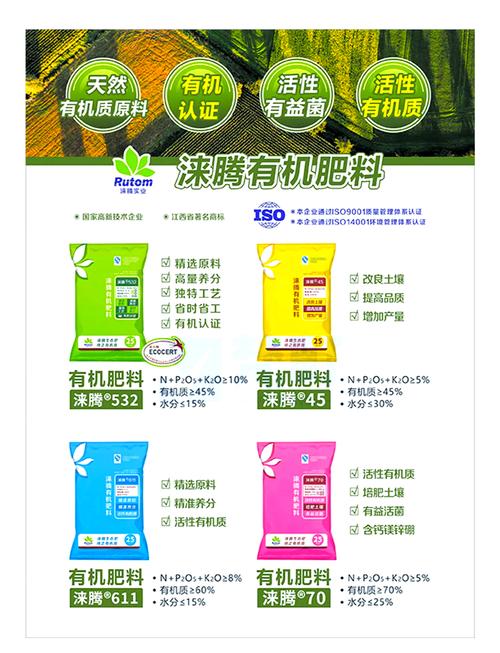 網頁軟件 萬物皆可Web化的時代引擎